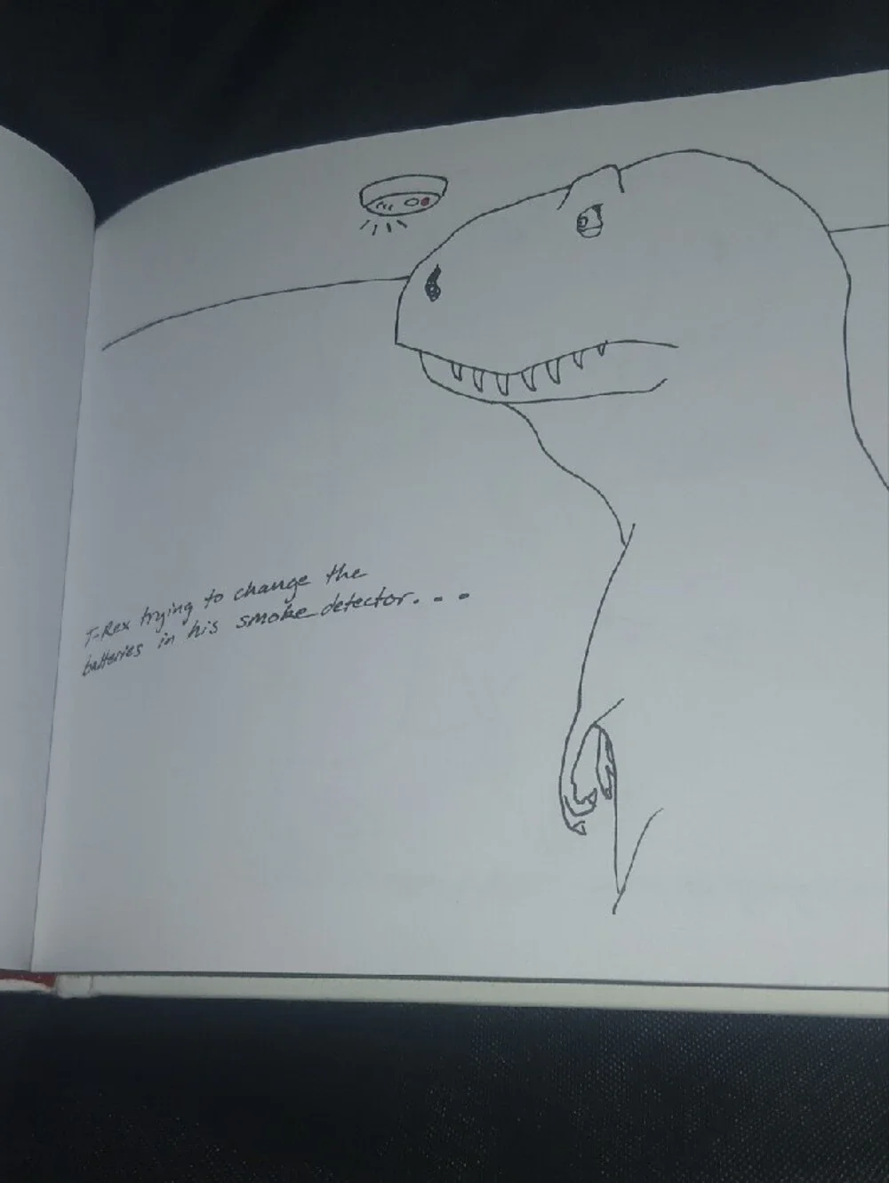 T-Rex Trying Hardcover Book By Hugh Murphy 2013
